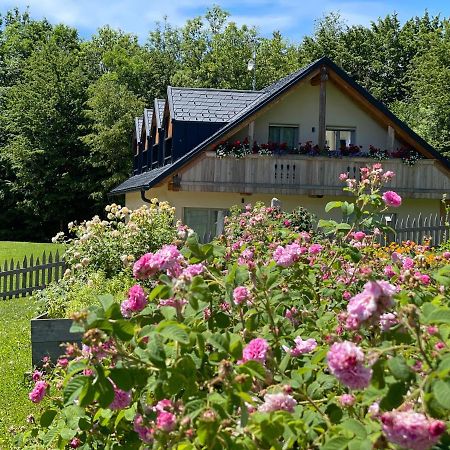 Loft Naturalpina Dolomiti Farm Беллуно Экстерьер фото