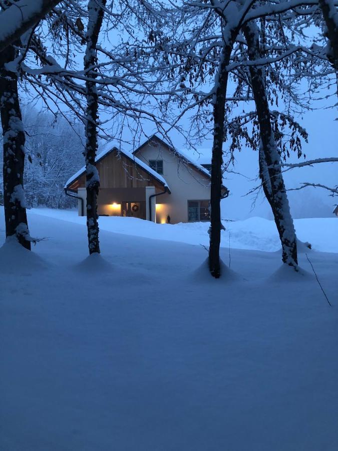 Loft Naturalpina Dolomiti Farm Беллуно Экстерьер фото