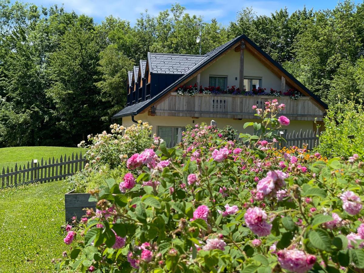 Loft Naturalpina Dolomiti Farm Беллуно Экстерьер фото